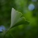 2012-12-06 Canberra 261 - Version 2