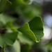 2012-12-06 Canberra 270 - Version 2