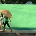 The green wall