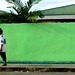 The green wall